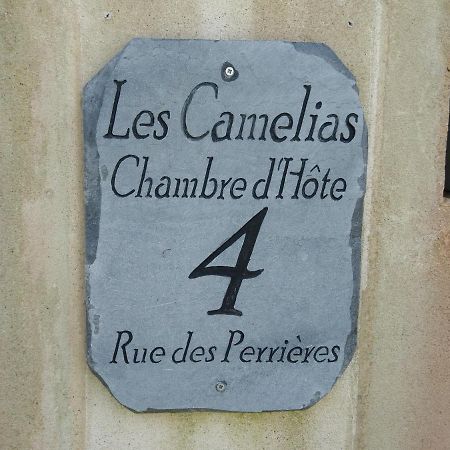 비닉 Les Camelias B&B 외부 사진